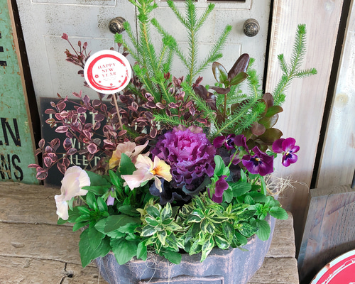 1_26f9078146a3e843a7a027354bfe