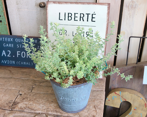 1_5682e170d99c9a11ee0ac12388e6