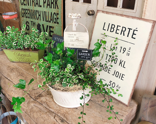 1_955a93d5269cc9387ff7d0273970