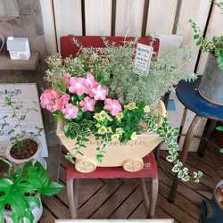 新作♡現品【ナツザクラ日々草&カリブラコア 寄せ植え】可愛いお花