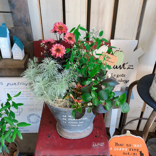 ハロウィン ピック 植木鉢にさしたり 部屋の飾りに 新作♡現品