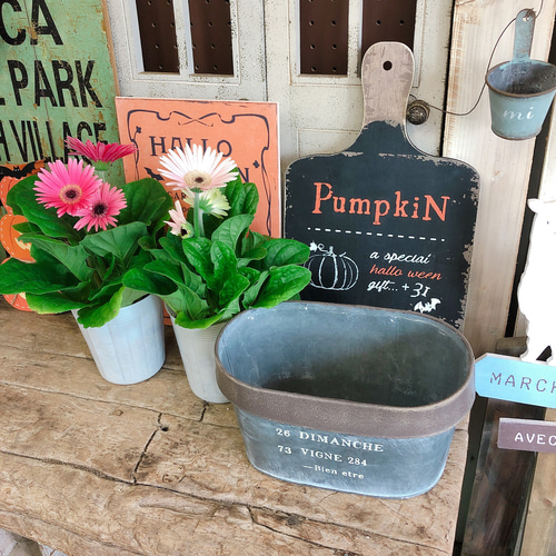 現品♡華やか【ガーベラ 2色セット】オシャレブリキ鉢セット♡可愛い