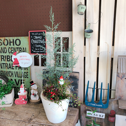 新作♡現品【ブルーアイス寄せ植え】クリスマスピックつき！素敵な