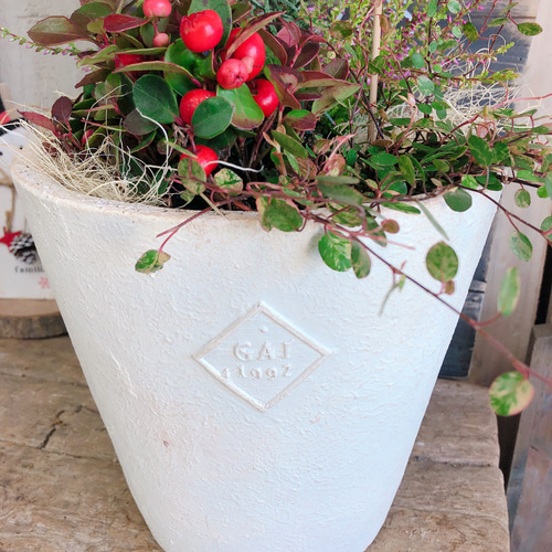 新作♡現品【ブルーアイス寄せ植え】クリスマスピックつき！素敵な