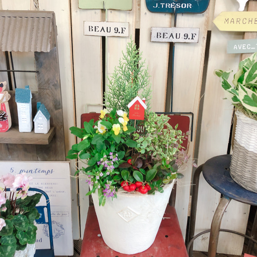 新作♡現品【クリスマスガーデニング】クリスマスピックつき！素敵な