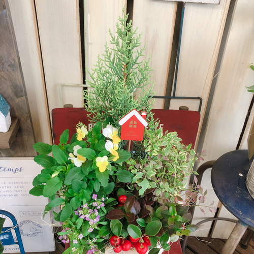 新作♡現品【クリスマスガーデニング】クリスマスピックつき！素敵な