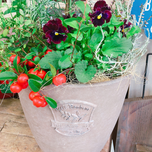 海外ビンテージ ガーデニング収納ポットブルー赤 大 スチールダストボックス🌟 大容量53Lの 『 STEEL DUST BOX 』 です