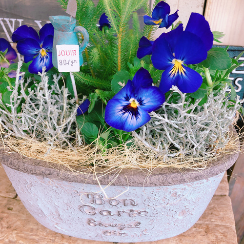 ハビランド　スミレ花柄陶器小物入れ ハビランド スミレ花柄陶器小物入れ スミレ 片口小鉢 | 隠れ道陶房