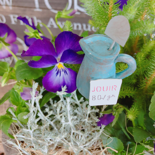 ハビランド　スミレ花柄陶器小物入れ 2026年最新】すみれの小物入れの人気アイテム - メルカリ