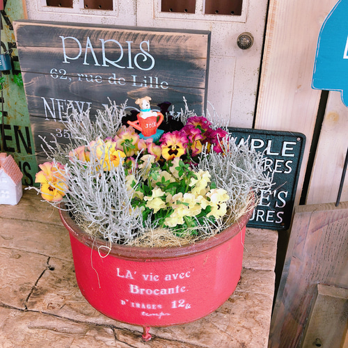 現品ラスト♡【フリル咲きパンジー寄せ植え】華やかなガーデニング♡赤