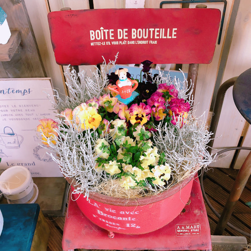 現品ラスト♡【フリル咲きパンジー寄せ植え】華やかなガーデニング♡赤