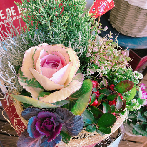 現品SALE♡【かわいい葉牡丹入りナチュラルガーデニング】お正月ピック