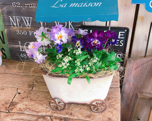 1_c95c83b26e3de902a0a3753528f7