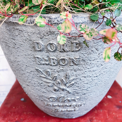 現品♡【フリル咲きビオラ寄せ植え】素敵なガーデニング♡陶器鉢