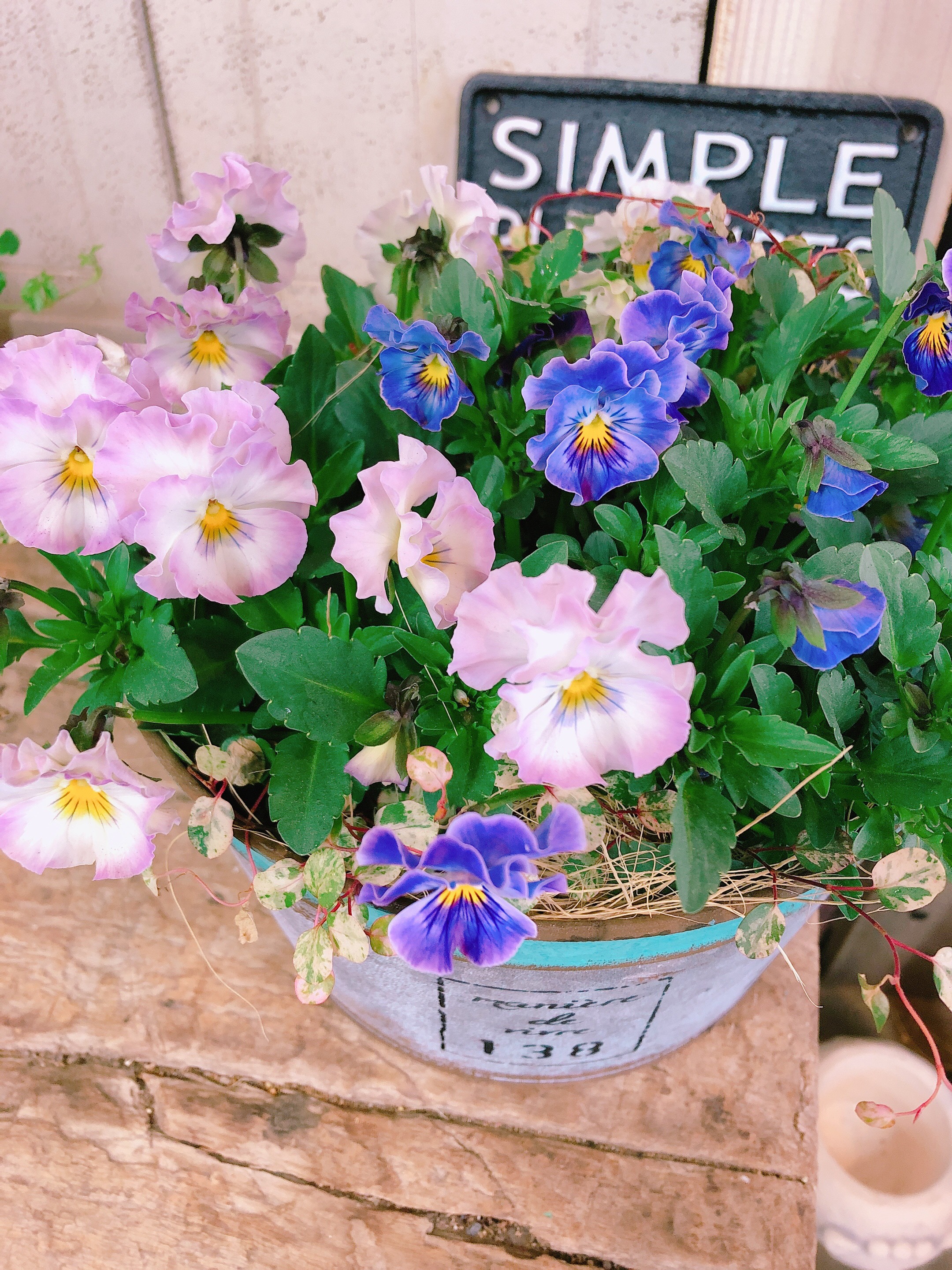 専用　リメイク鉢　お花