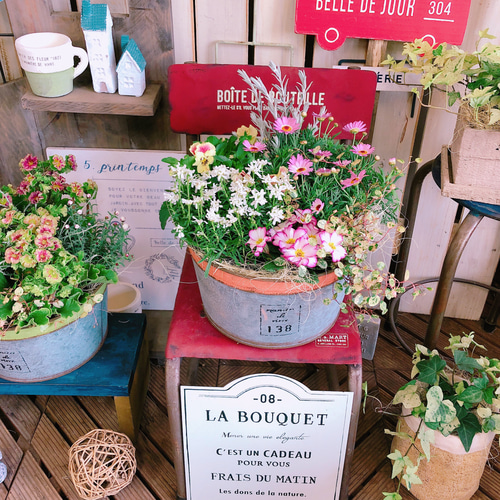 新作♡現品【春のお花のいろいろ6種類 寄せ植え】ナチュラル 新作♡現品【春のお花のいろいろ6種類 寄せ植え】ナチュラル