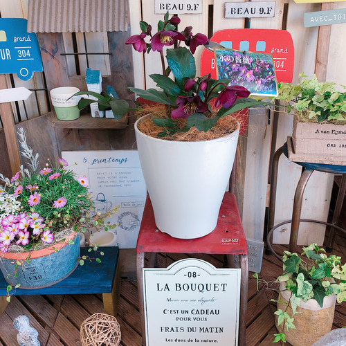 ご確認用ローズレースクリスマス向け真っ赤黒お洒落な花柄