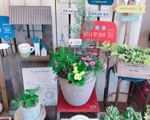 新作♡現品のみ【6種類 高さのあるステキな寄せ植え】ガーデンピック