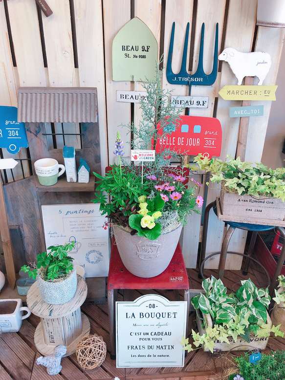 新作♡現品のみ【6種類 高さのあるステキな寄せ植え】ガーデンピック