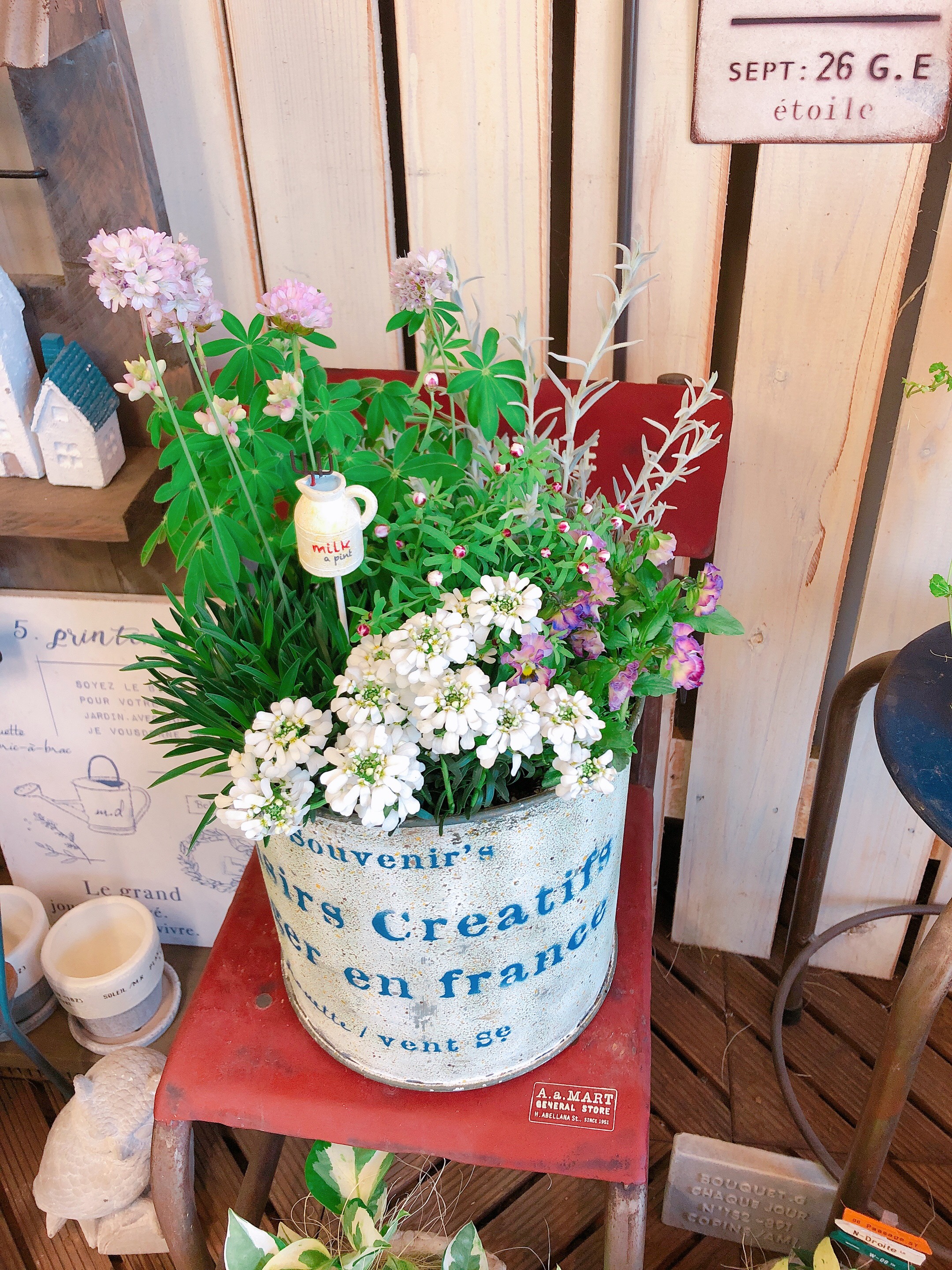 現品SALE♡【春のお花6種類 寄せ植え】ナチュラルガーデニング