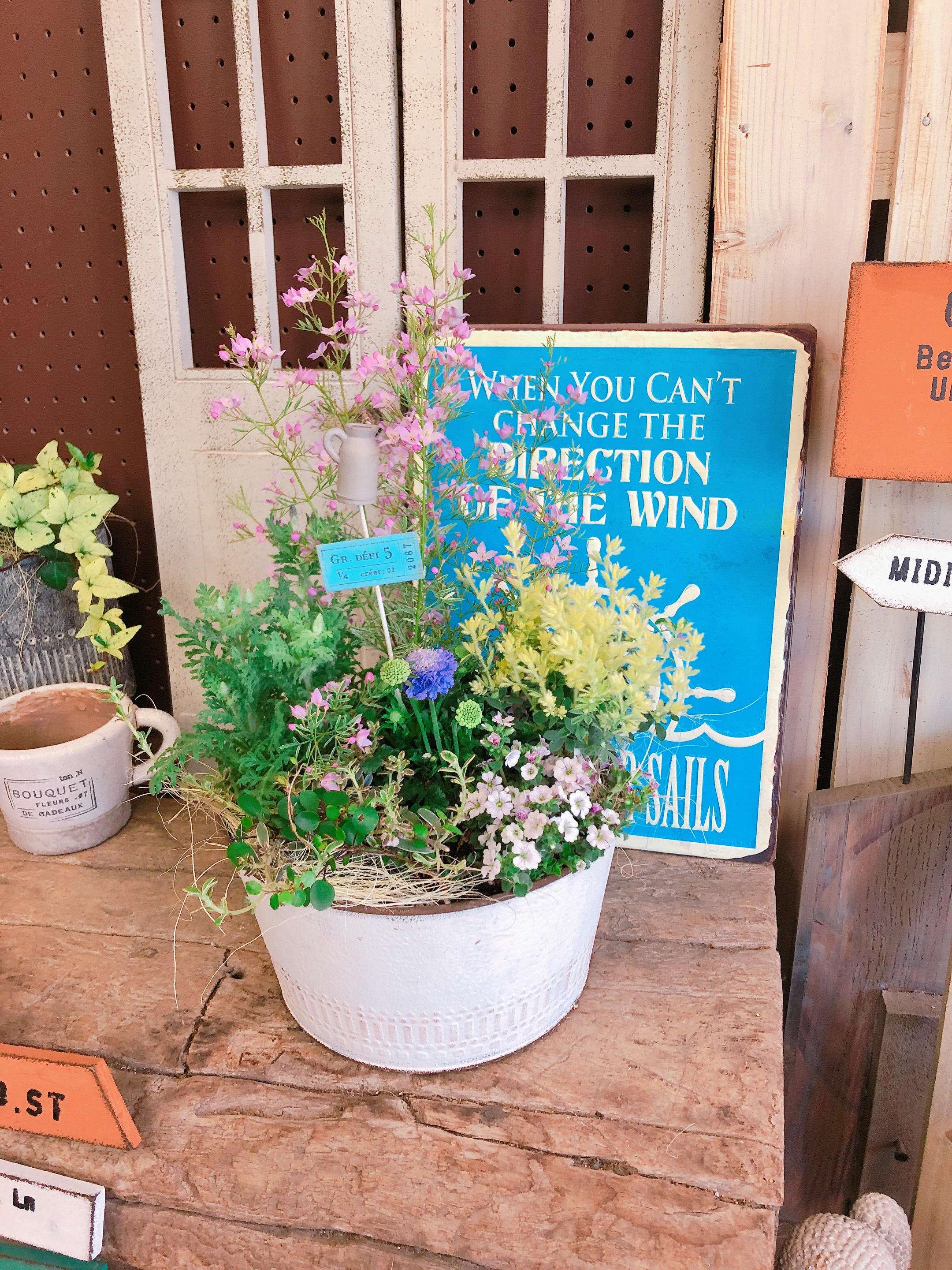 ラスト！新作♡【春色すてきな寄せ植え！】おしゃれガーデニング