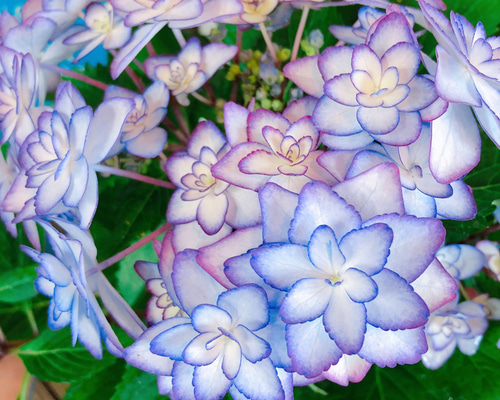 1_d69d1ee2174739fbc5a4fe0233e7