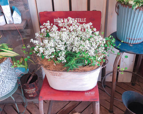 1_661e08a0ed26f77ff62e12c5c71f