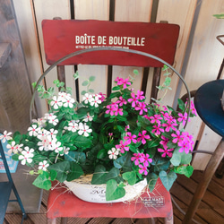 新作♡現品【夏花火 日々草 寄せ植え】ナチュラルガーデニング♪白