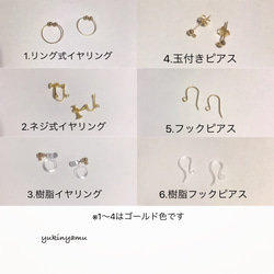 リングとスティックのイヤリング/ピアス 4枚目の画像