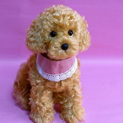 テディベア　トイプードル　ぬいぐるみ テディプードル ライトブラウン | DOGBASE YOKOHAMA