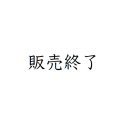 販売終了 1枚目の画像