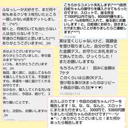 純金 一億円札 フクロウの羽 1000万円の帯封 白蛇 お守り お札 お金 財布 5枚目の画像