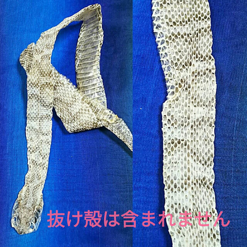 金運アップ 純金 一億円札 百万円の帯封 白蛇 マムシ お守り