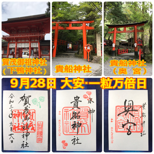 アルビノアオダイショウ 白蛇切らず一匹 金運アップ 六波羅蜜寺