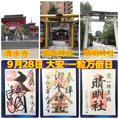 アルビノアオダイショウ 白蛇切らず一匹 金運アップ 六波羅蜜寺