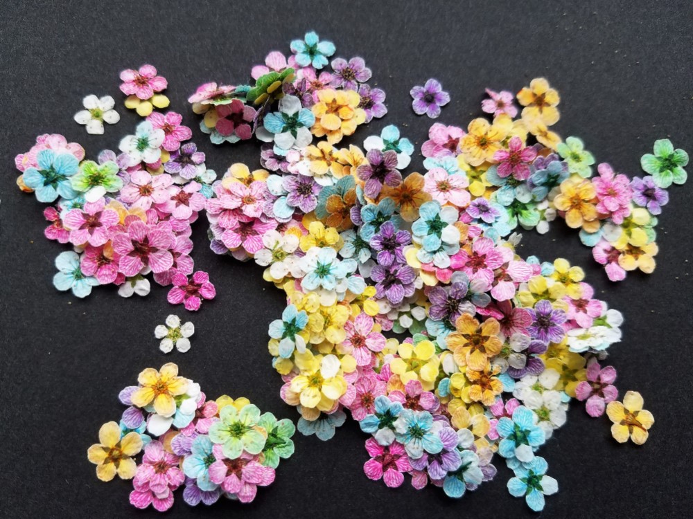 92様【在庫処分/訳あり】押し花素材：アジサイ/紫陽花（372 レジン