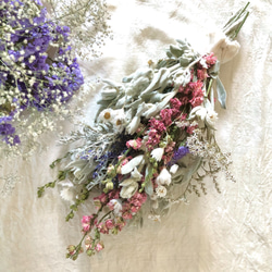 「野原の喜び」ラムズイヤーと千鳥草ピンクのスワッグ　ドライフラワー40センチサイズ 1枚目の画像