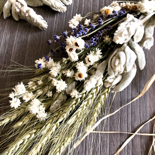 北海道麦とラムズイヤーのドライフラワースワッグ◯50センチサイズ