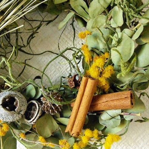 ユーカリとオレンジ・シナモンの爽やかリース16センチ〇ドライフラワー