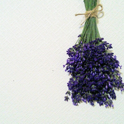 ドライフラワースワッグ スタンドフラワー ネイティブ 北海道