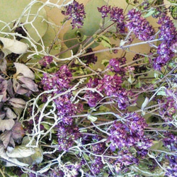 とれたてオレガノと紫陽花(北海道産)スワッグオーガニック自家栽培ハーブのスワッグ 2枚目の画像