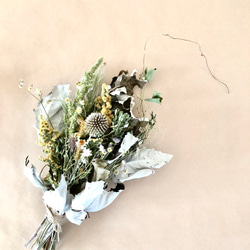 ドライフラワースワッグ  北海道の春　クラシカルホワイト ドライフラワースワッグ 北海道の春 ホワイトグリーン