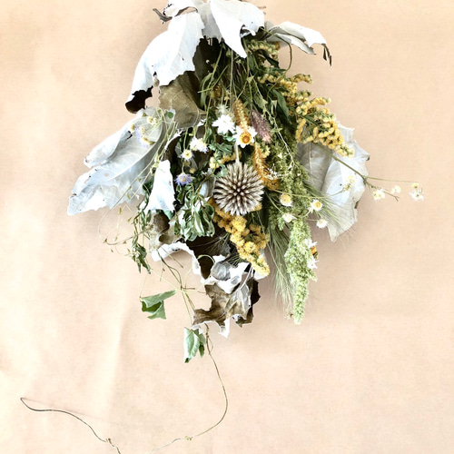 creema数量限定 北海道野の花とホワイトポプラのドライフラワー