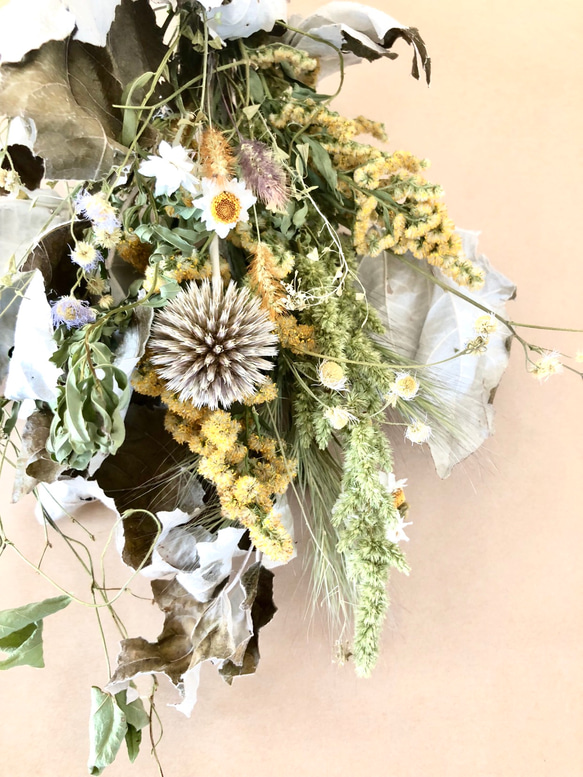 creema数量限定 北海道野の花とホワイトポプラのドライフラワースワッグ花束 3枚目の画像