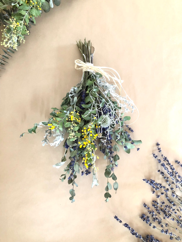 専用＊ダークネイビープロテア&ミモザ　ドライフラワースワッグ 45cmサイズ フラワー・ガーデニング 専用＊ダークネイビープロテア