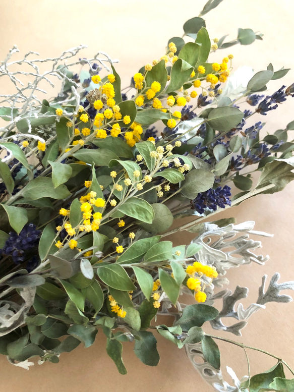 creema数量限定 ミモザと北海道ラベンダードライフラワースワッグ花束 4枚目の画像