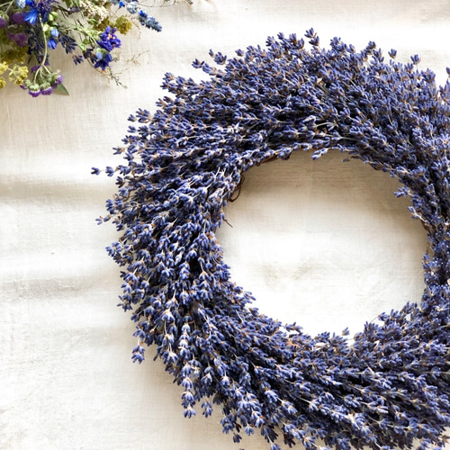 北海道富良野産ラベンダーリース おかむらさき ラベンダー30