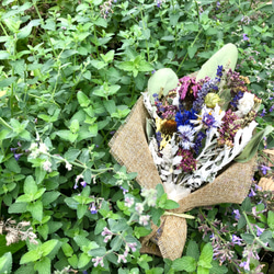 北海道からのタッジーマッジー（ハーブと香りの花束）ガーデンポプリ付　ドライフラワースワッグ 1枚目の画像