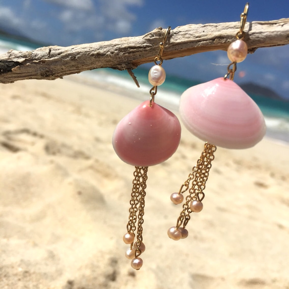 Kailua special Pink shell 1枚目の画像