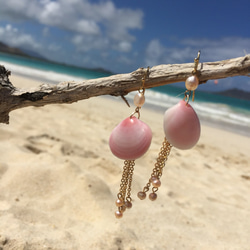 Kailua special Pink shell 3枚目の画像